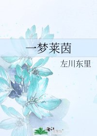 一梦莱茵